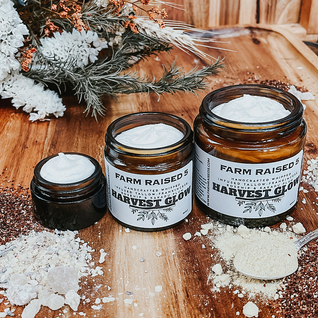 HARVEST GLOW - whipped tallow infused with frankincense, rosehip and kakadu plum