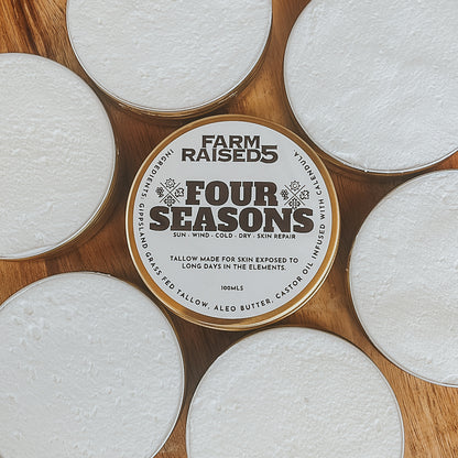 FOUR SEASONS - Weather repair and restore