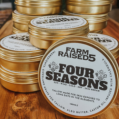 FOUR SEASONS - Weather repair and restore