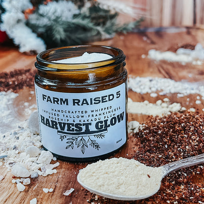 HARVEST GLOW - whipped tallow infused with frankincense, rosehip and kakadu plum