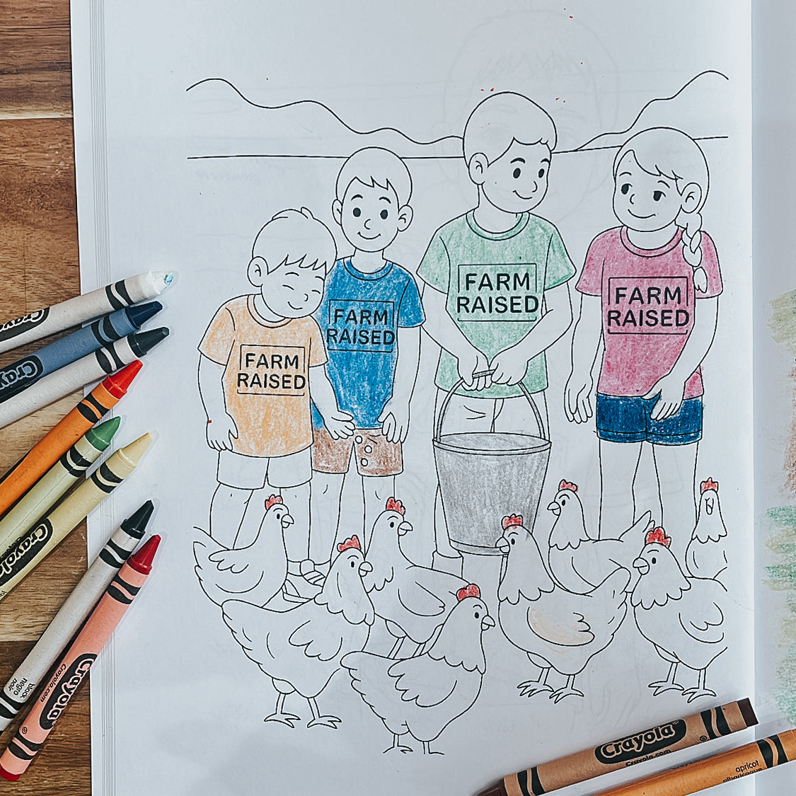 COLOURING BOOK - CHICKENS