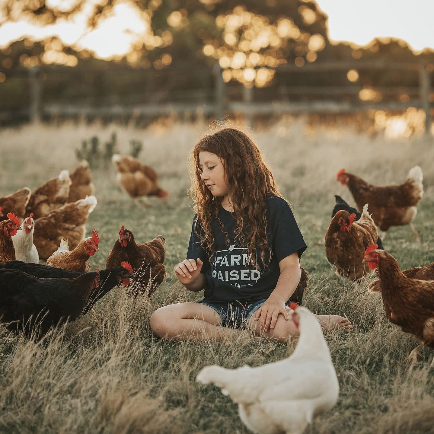 COLOURING BOOK - CHICKENS