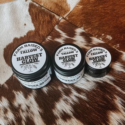 HARVEST GLOW - whipped tallow infused with frankincense, rosehip and kakadu plum