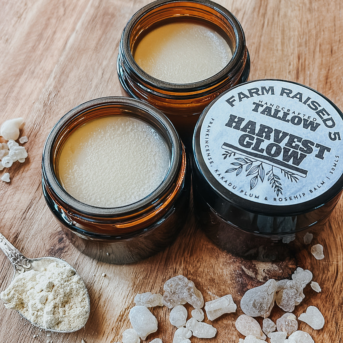 HARVEST GLOW - Tallow BALM infused with Frankincense resin, rosehip and Kakadu plum