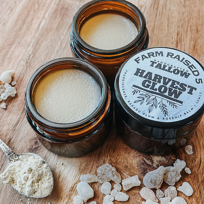 HARVEST GLOW - Tallow BALM infused with Frankincense resin, rosehip and Kakadu plum