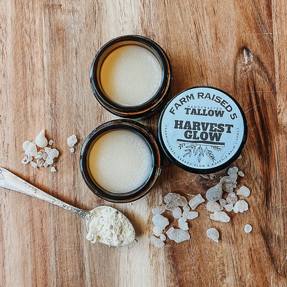 HARVEST GLOW - Tallow BALM infused with Frankincense resin, rosehip and Kakadu plum
